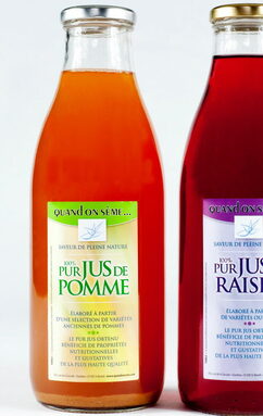 les-jus-de-pomme-sont-elabores-sans-ajout-de-sucre-de-conservateur-ou-d-enzyme-a-partir-de-varietes-anciennes-ou-oubliees-comme-la-caville-la-rayee-du-bouchage-ou-l-api-etoilee-photo-quand-on-seme-1525364771.jpg