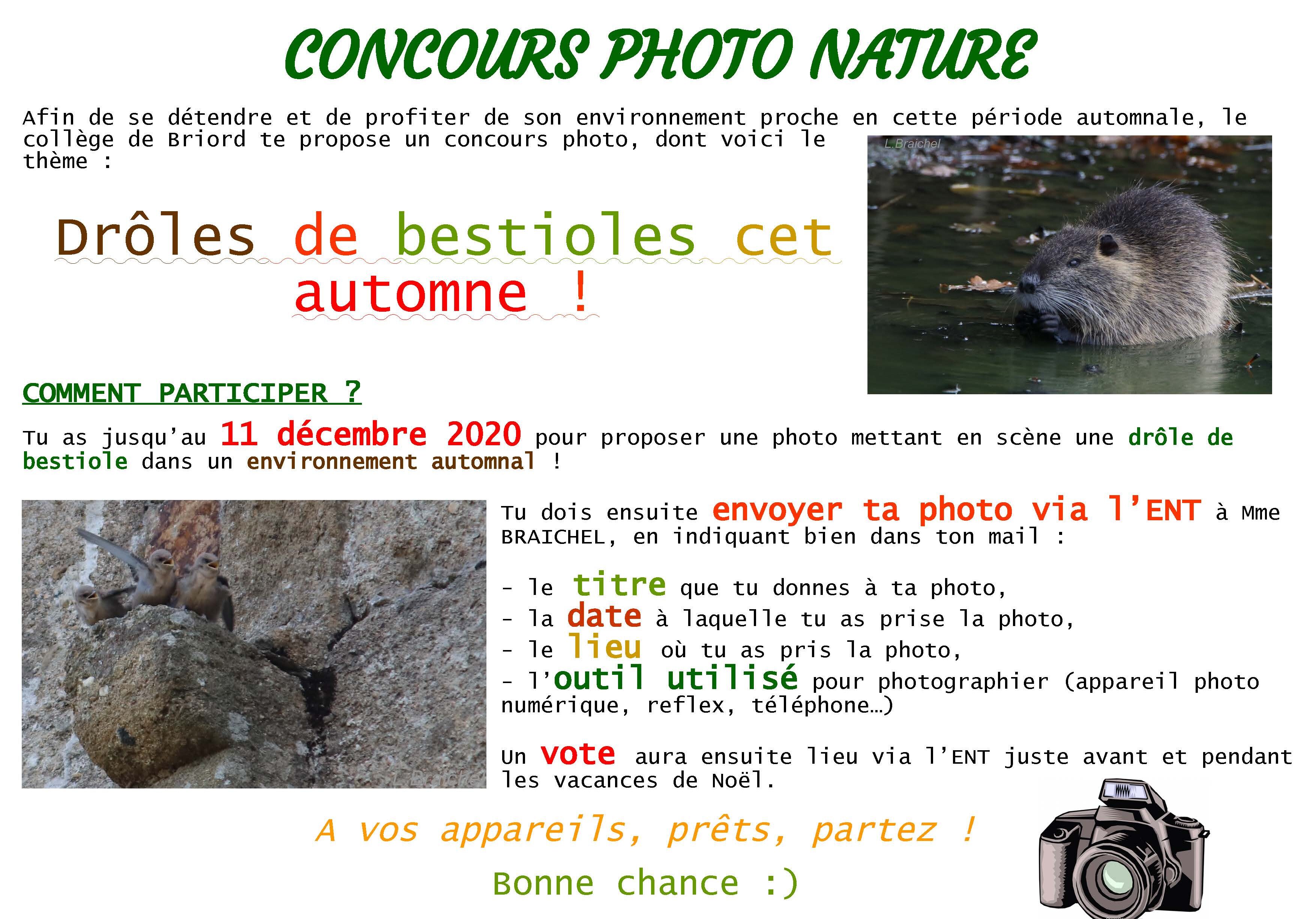 AFFICHE CONCOURS PHOTO 2020.jpg